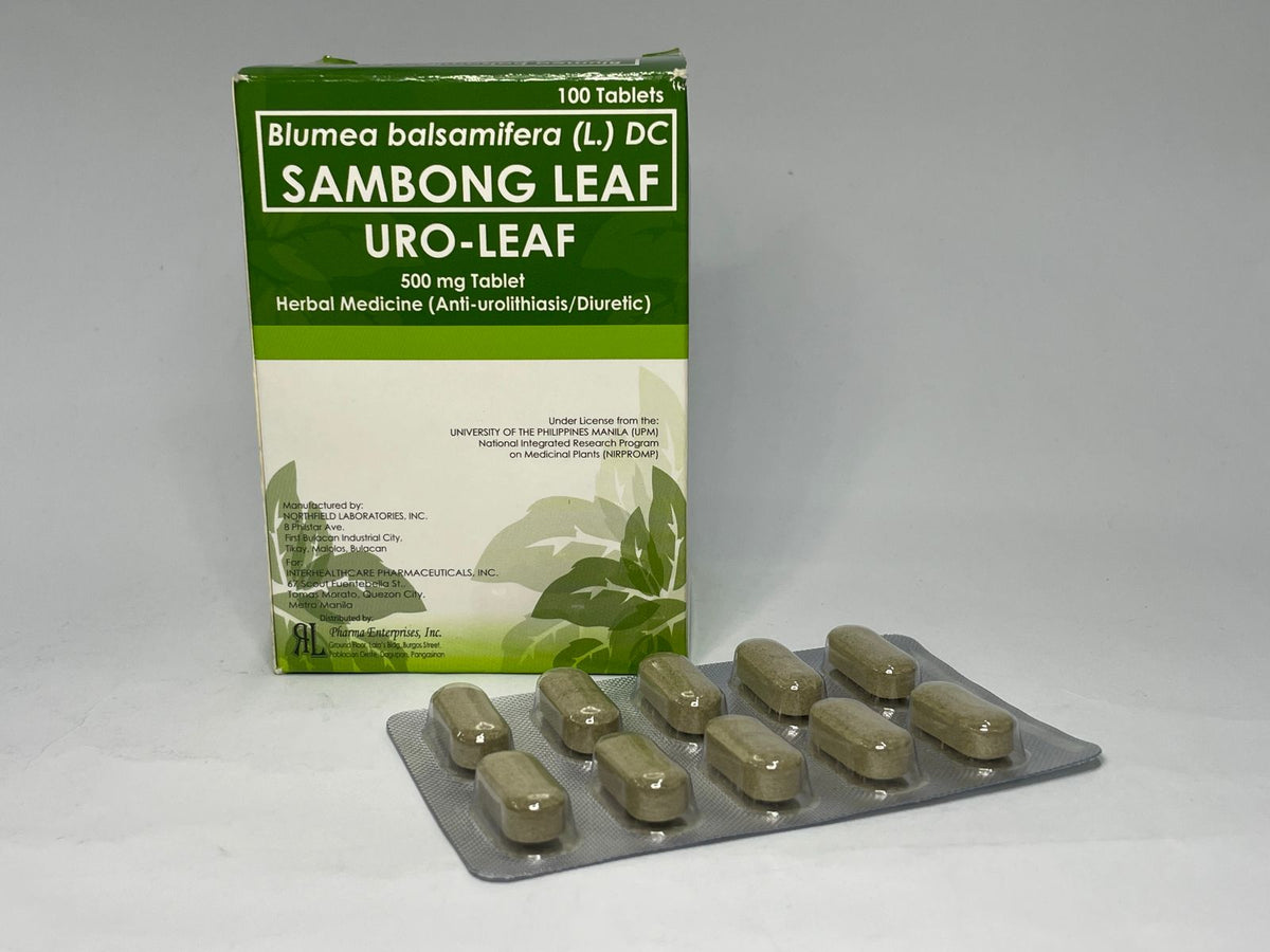 SAMBONG Uro Leaf